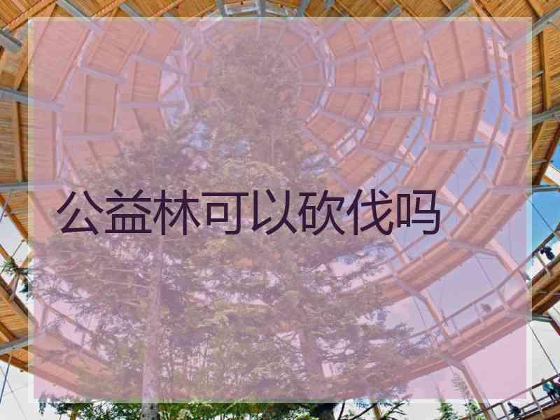 公益林可以砍伐吗