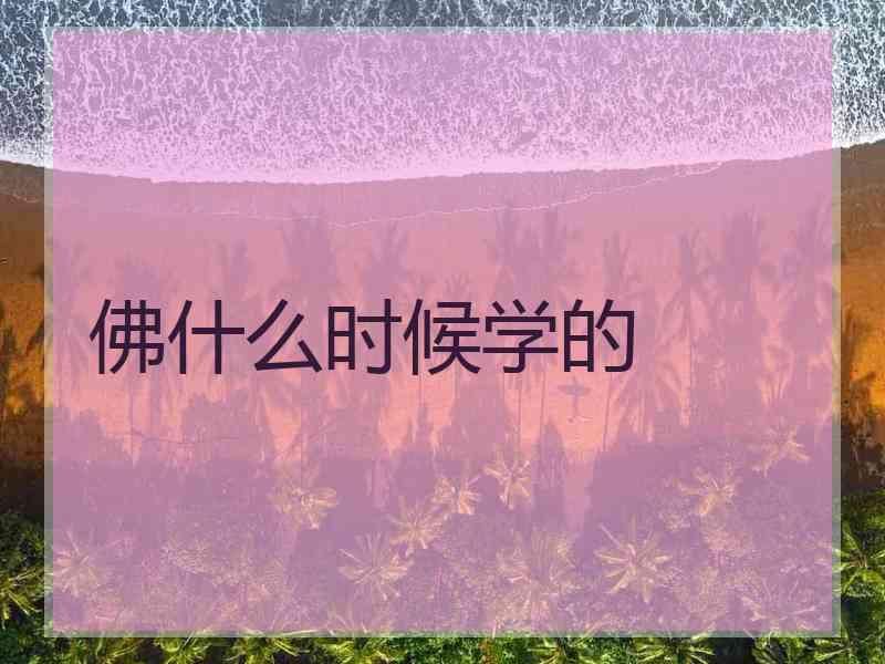 佛什么时候学的