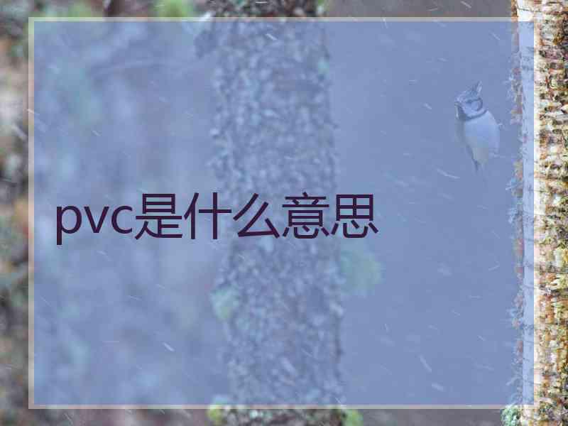 pvc是什么意思