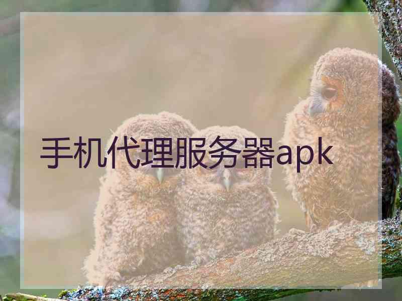 手机代理服务器apk