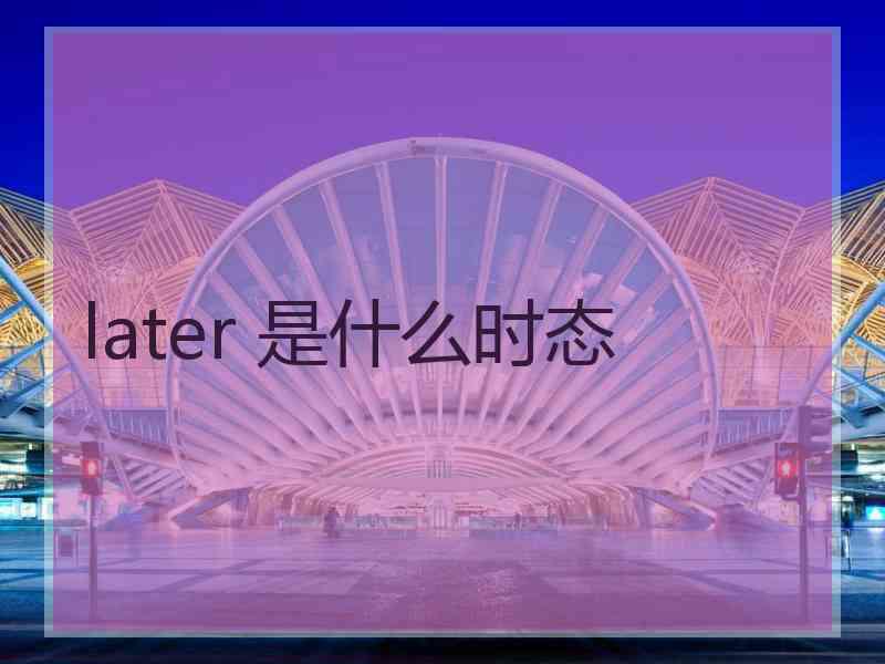 later 是什么时态