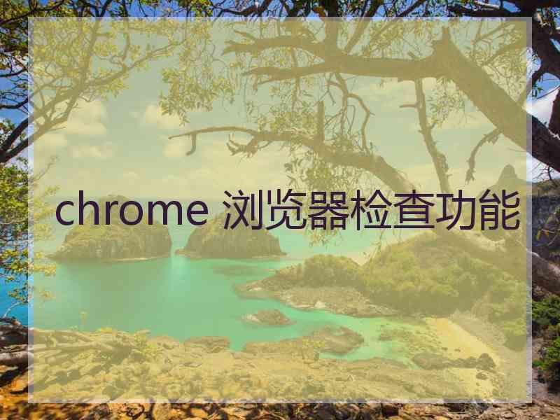 chrome 浏览器检查功能