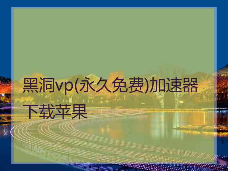 黑洞vp(永久免费)加速器下载苹果