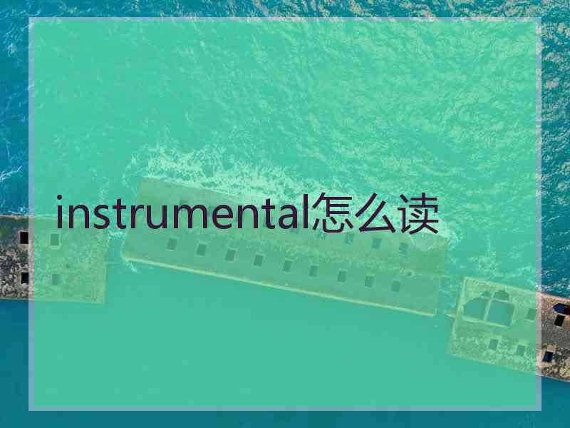 instrumental怎么读