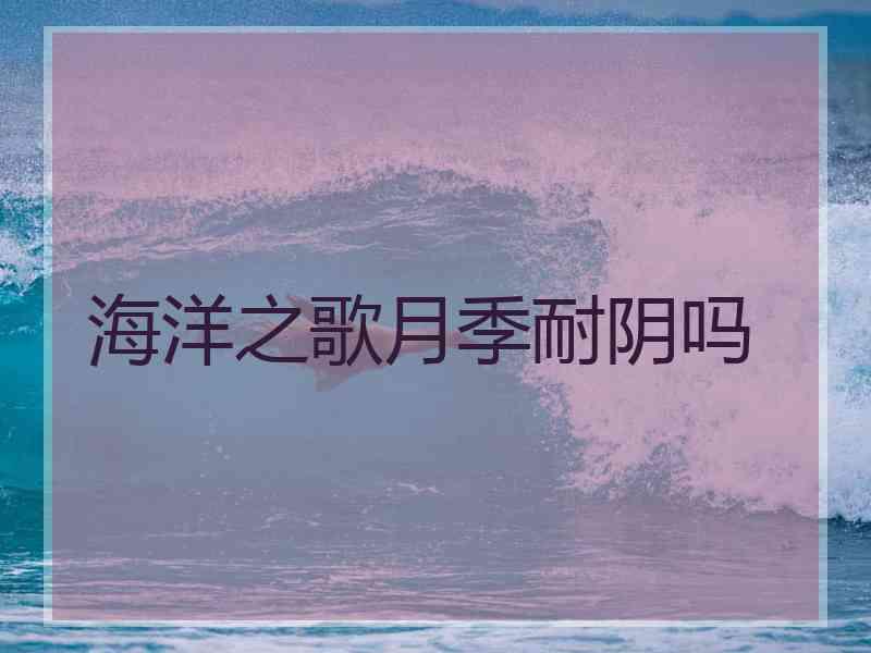 海洋之歌月季耐阴吗