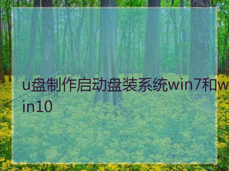 u盘制作启动盘装系统win7和win10