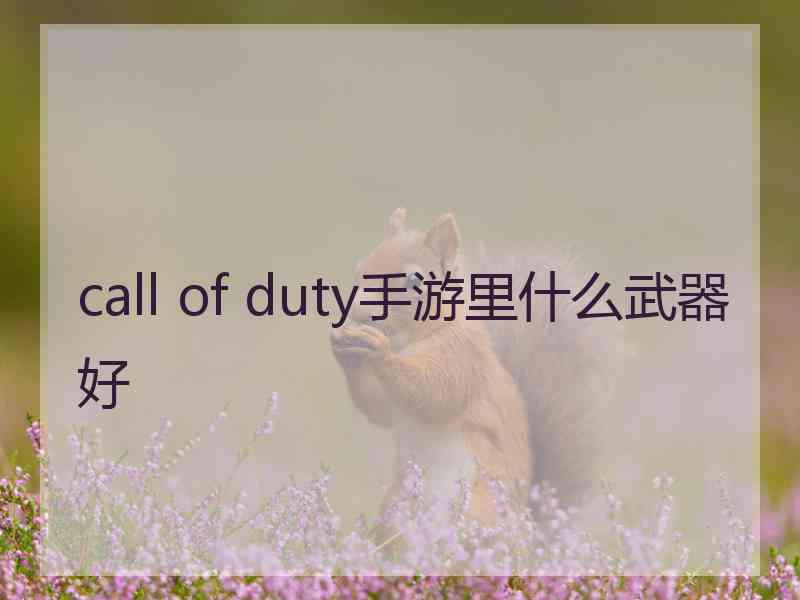 call of duty手游里什么武器好