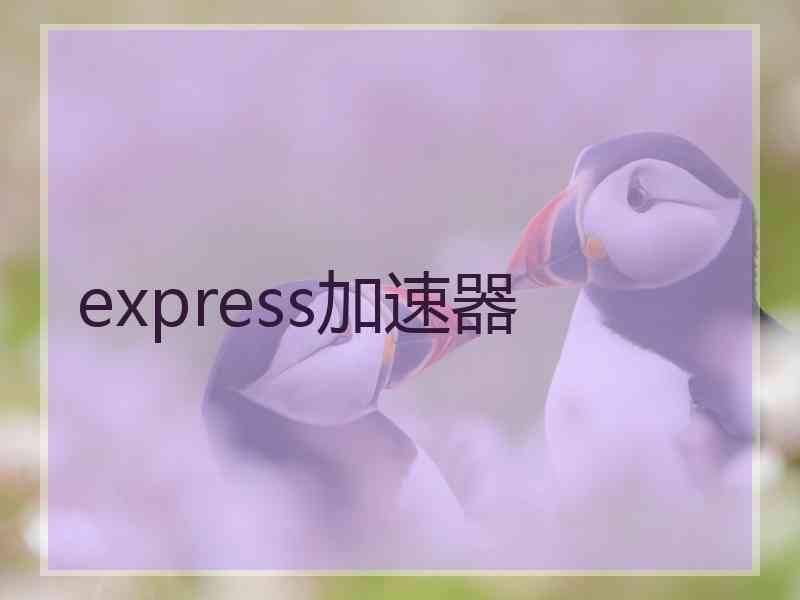 express加速器