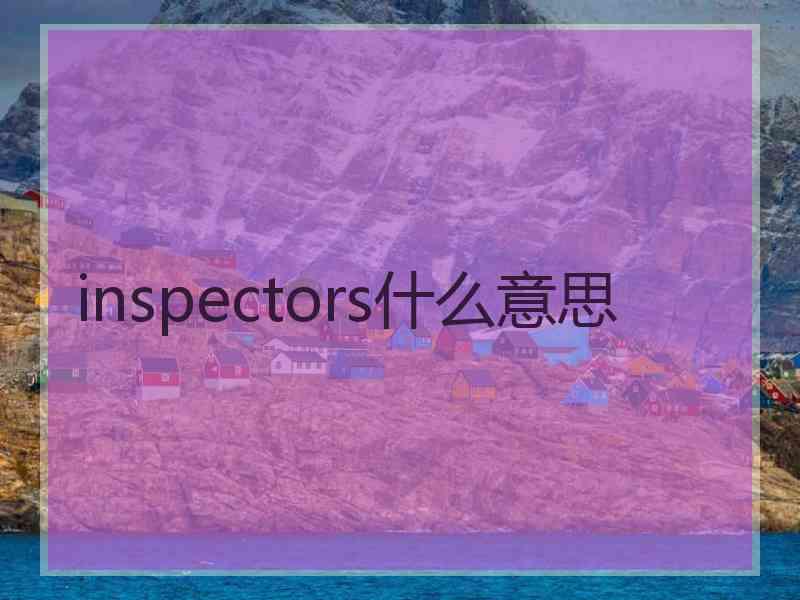 inspectors什么意思