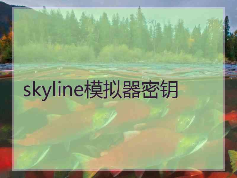 skyline模拟器密钥