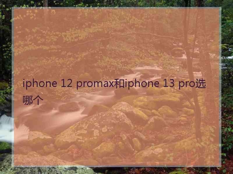 iphone 12 promax和iphone 13 pro选哪个