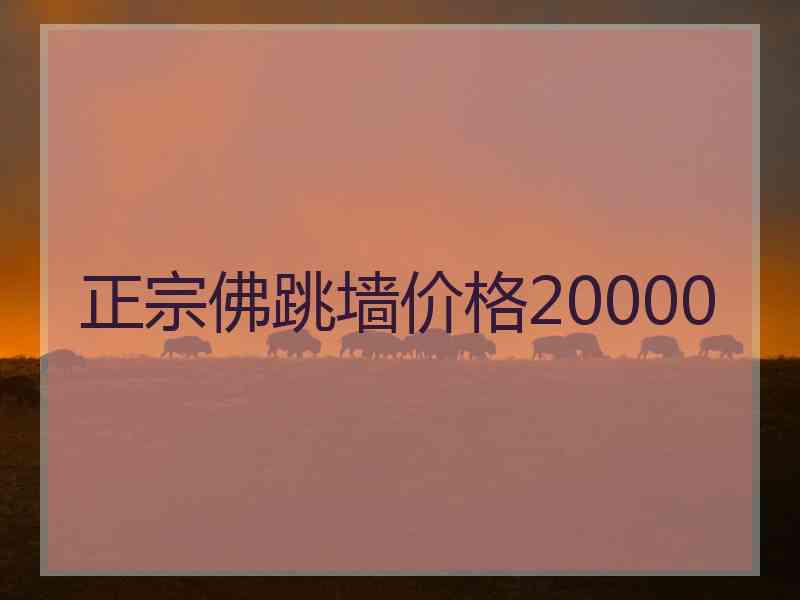 正宗佛跳墙价格20000