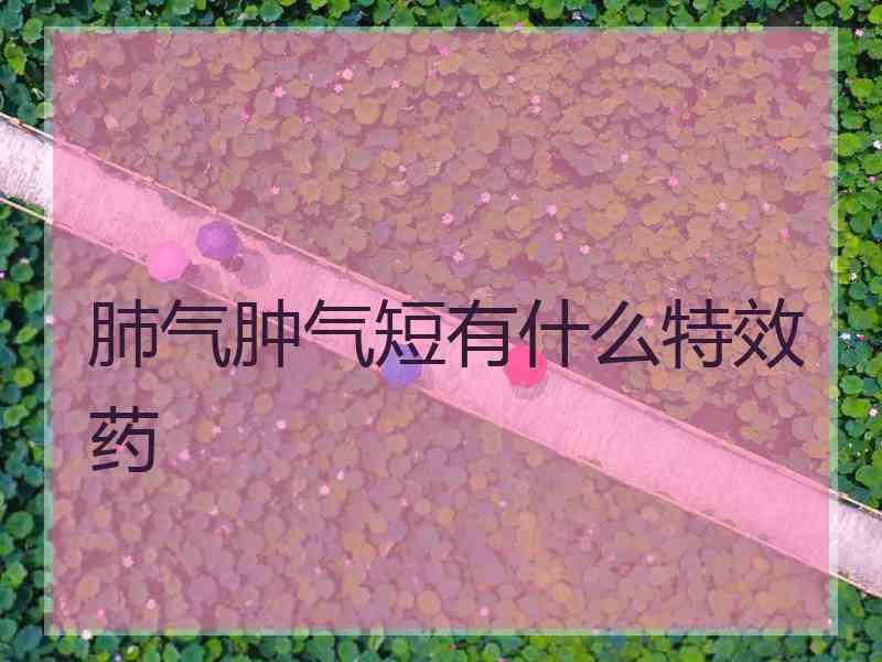 肺气肿气短有什么特效药