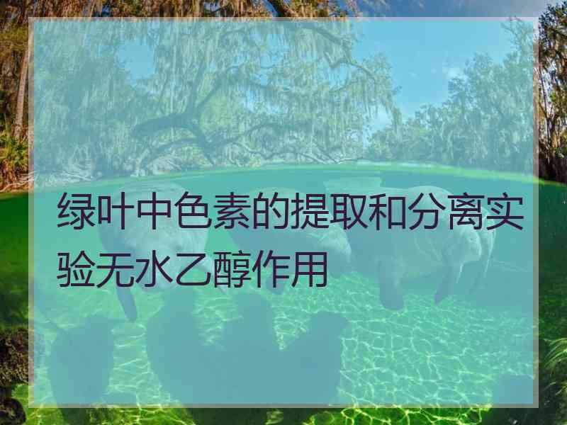 绿叶中色素的提取和分离实验无水乙醇作用