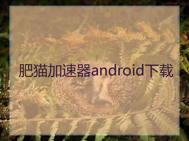 肥猫加速器android下载