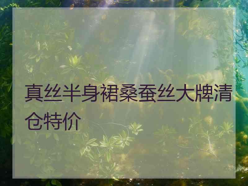 真丝半身裙桑蚕丝大牌清仓特价