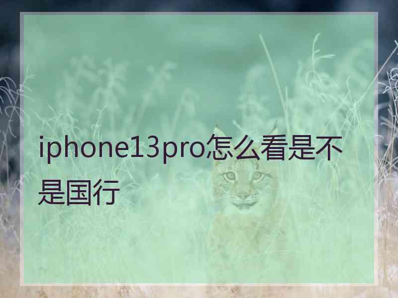 iphone13pro怎么看是不是国行