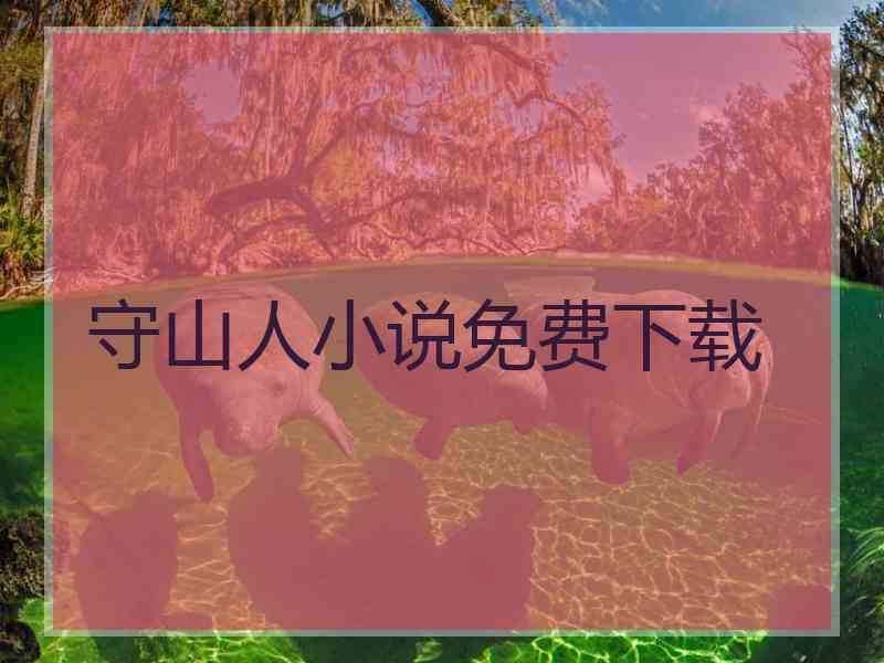 守山人小说免费下载