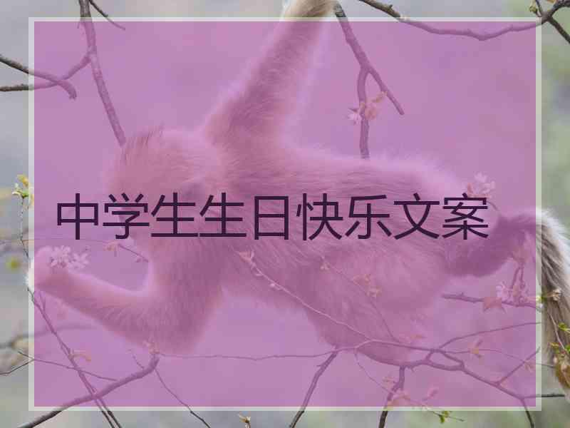 中学生生日快乐文案