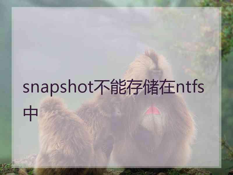 snapshot不能存储在ntfs中