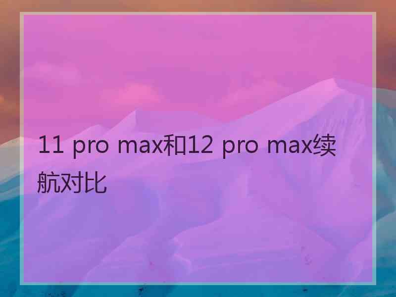 11 pro max和12 pro max续航对比