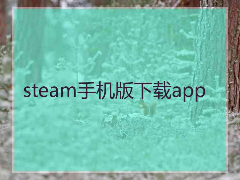 steam手机版下载app