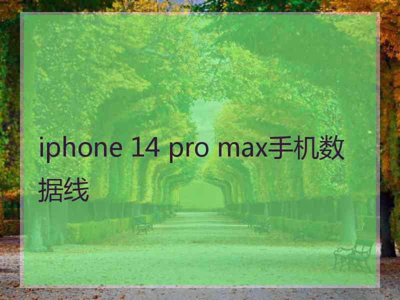 iphone 14 pro max手机数据线