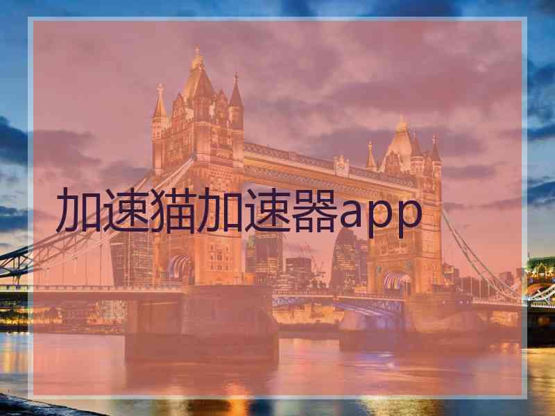 加速猫加速器app