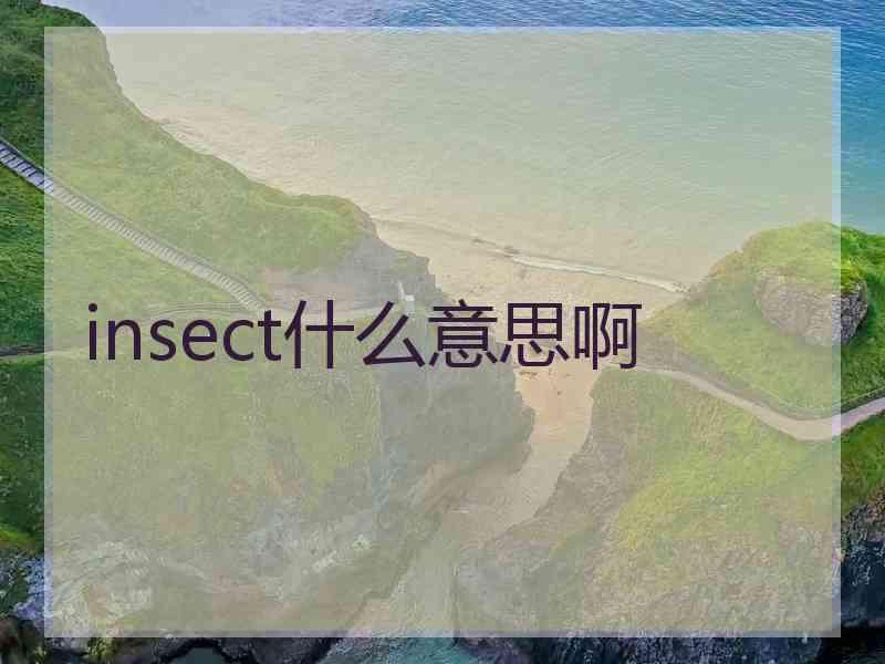 insect什么意思啊