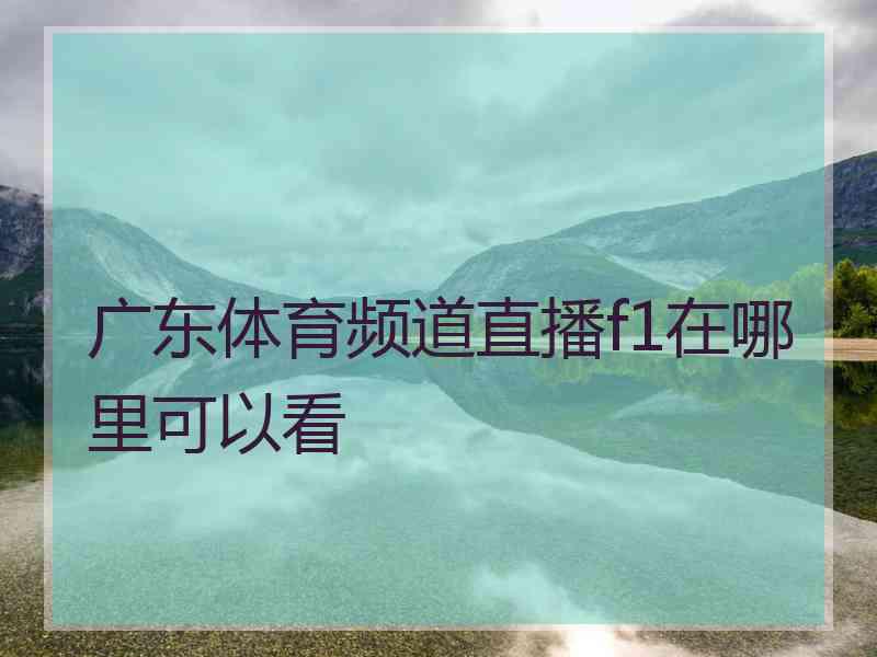 广东体育频道直播f1在哪里可以看