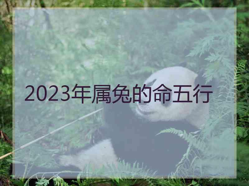 2023年属兔的命五行