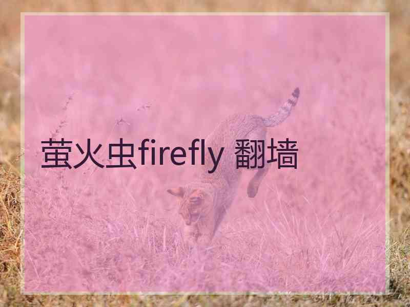 萤火虫firefly 翻墙