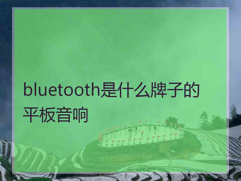 bluetooth是什么牌子的平板音响