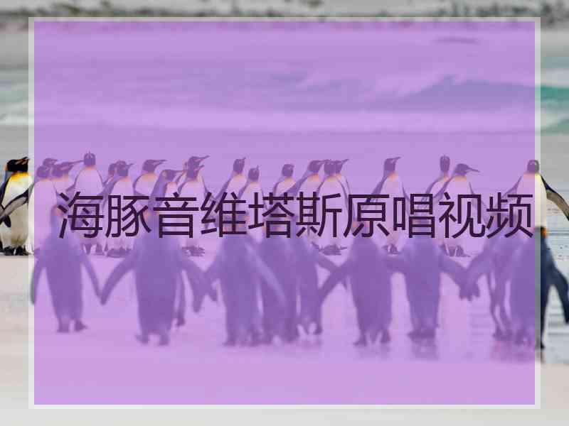 海豚音维塔斯原唱视频