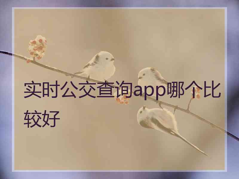 实时公交查询app哪个比较好