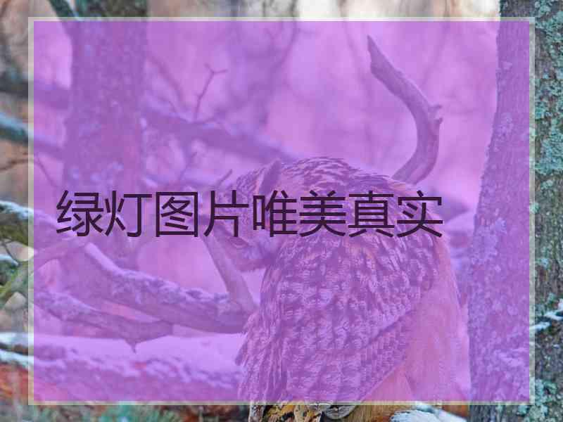 绿灯图片唯美真实