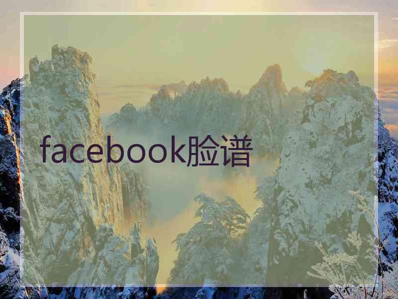 facebook脸谱