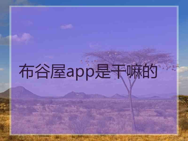 布谷屋app是干嘛的