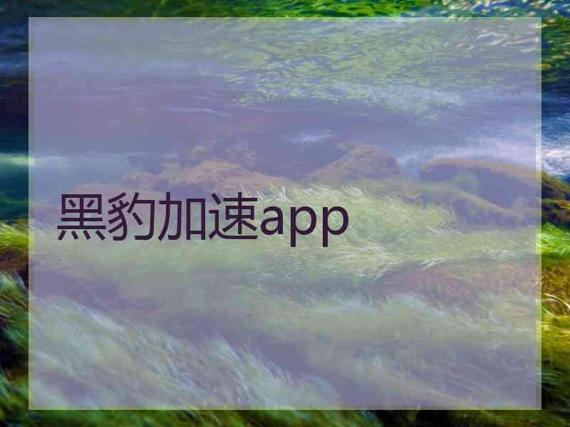 黑豹加速app