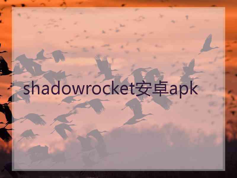 shadowrocket安卓apk