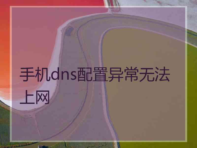 手机dns配置异常无法上网