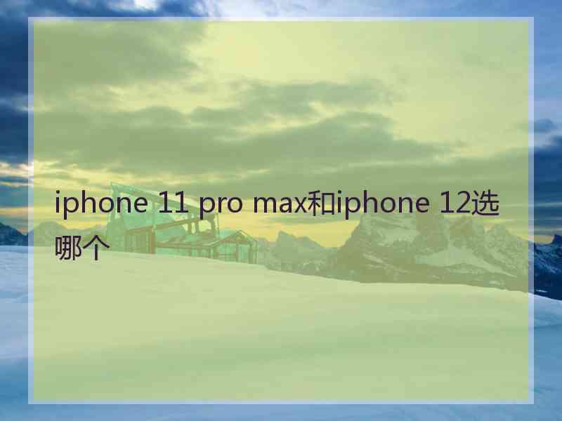 iphone 11 pro max和iphone 12选哪个