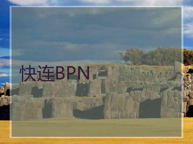 快连BPN