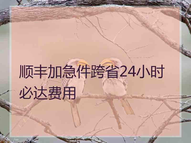 顺丰加急件跨省24小时必达费用