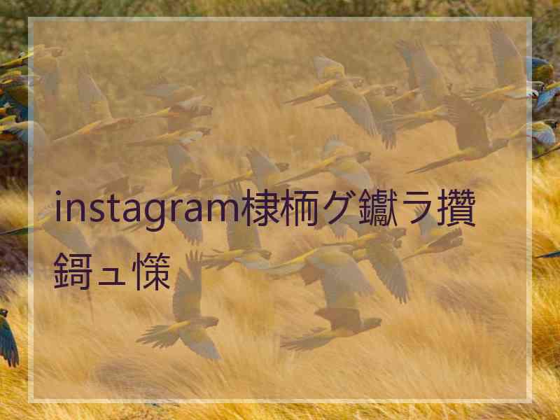 instagram棣栭グ钀ラ攢鎶ュ憡