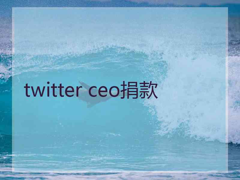 twitter ceo捐款