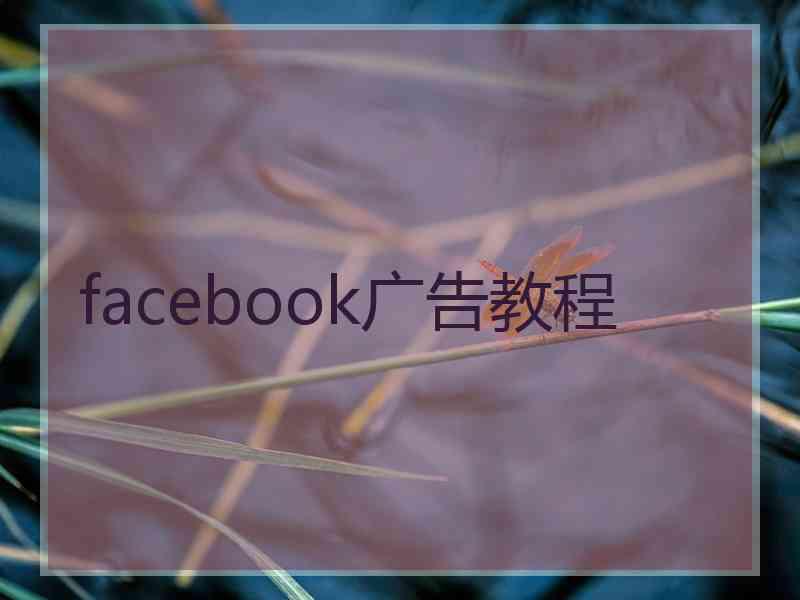 facebook广告教程