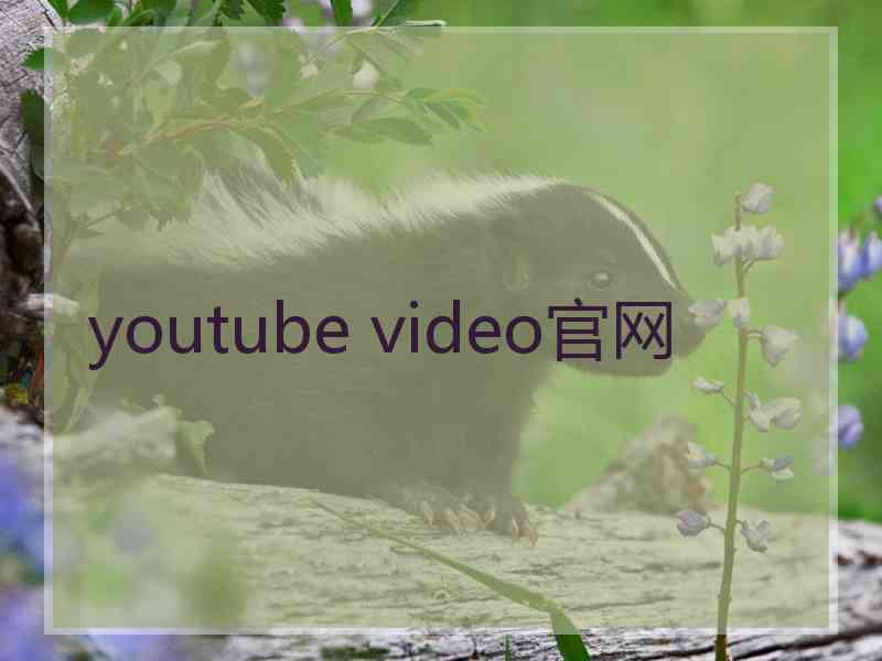 youtube video官网