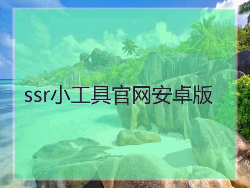 ssr小工具官网安卓版