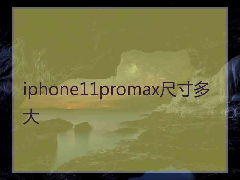 iphone11promax尺寸多大